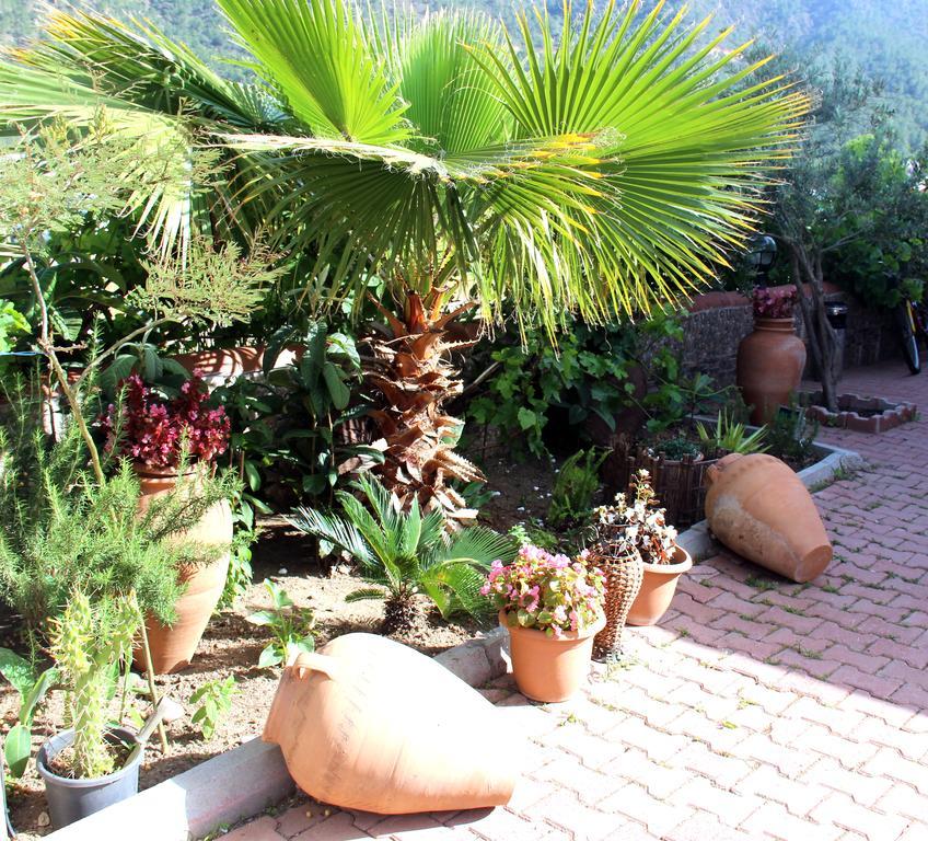Ferienwohnung Adrasan Shambala Exterior foto